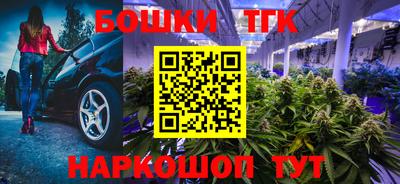 Альфа ПВП Гатчина