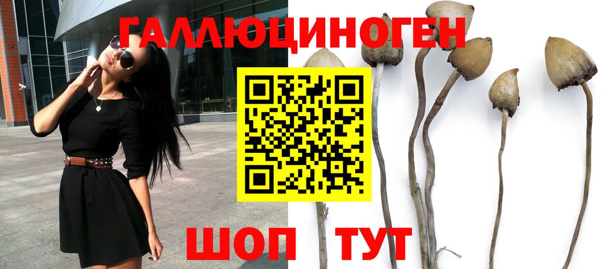 Шебекино  Галлюциногенные грибы Magic Shrooms  Вход с VPN 
